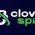 Cloverspin